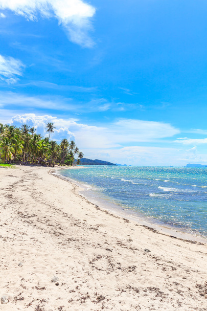 hermosa playa tropical con palmeras - Foto, imagen