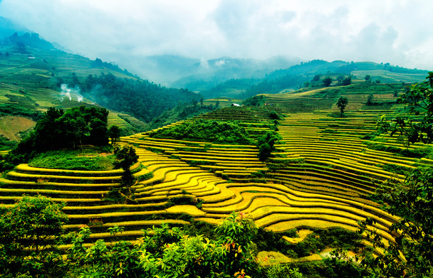 A rizsföldek teraszos a Mu Cang Chai, Yenbai, Vietnam. - Fotó, kép