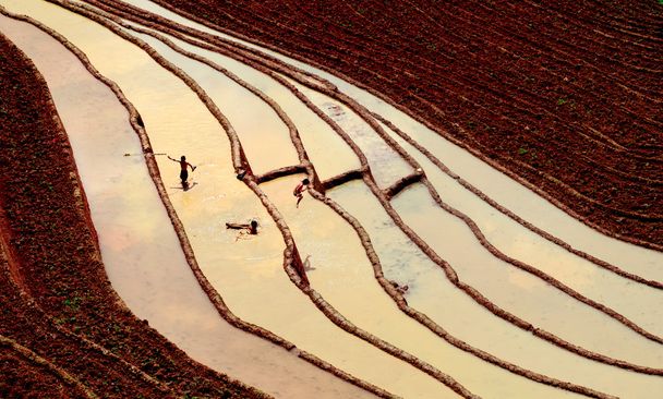 Рисовые поля на террасе Mu Cang Chai, YenBai, Вьетнам
 - Фото, изображение