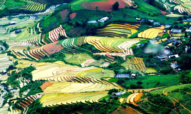 Campos de arroz em terraço de Mu Cang Chai, YenBai, Vietnã
 - Foto, Imagem