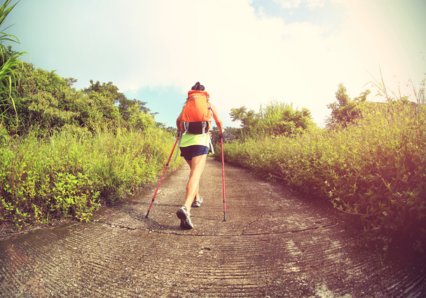 young woman hiker - Foto, immagini
