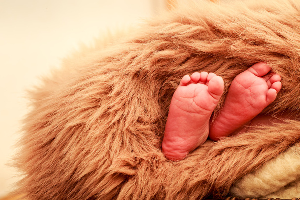 primo piano neonato piedi bambino
 - Foto, immagini