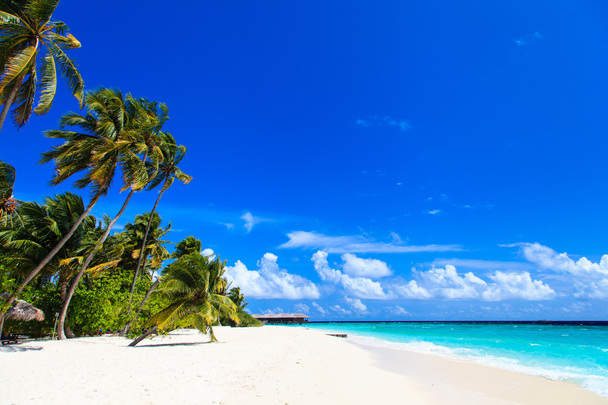 тропічний пляж
 - Фото, зображення