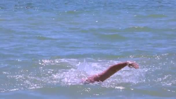 nuotatore freestyle
 - Filmati, video