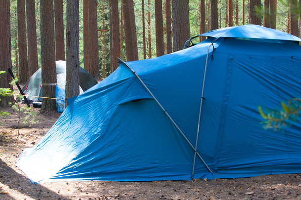 camping outdoor with  tent in woods in summer - Fotografie, Obrázek