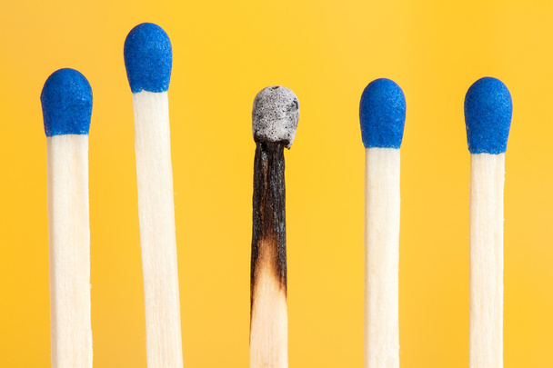 Four matches and one burnt - 写真・画像