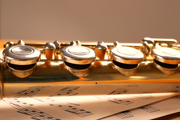 Серебряная флейта с нотами
 - Фото, изображение
