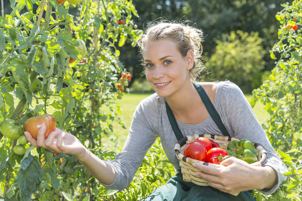 young woman gardening in kitchen garden - 写真・画像