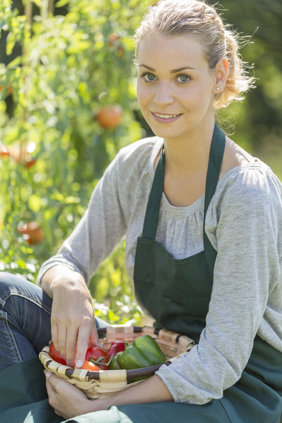 young woman gardening in kitchen garden - Фото, изображение