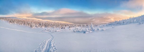Stok narciarski zimą na zachód słońca - Zdjęcie, obraz