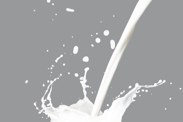 Milk Splashing on gray - Фото, зображення