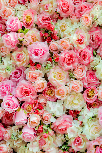 Zachte kleur Roses achtergrond - Foto, afbeelding