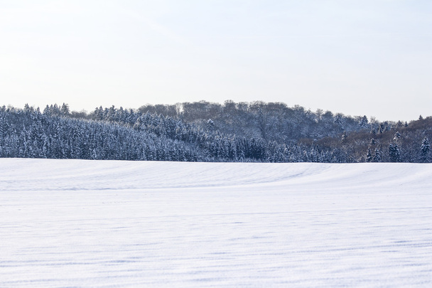 Široké zimní wonderland - Fotografie, Obrázek
