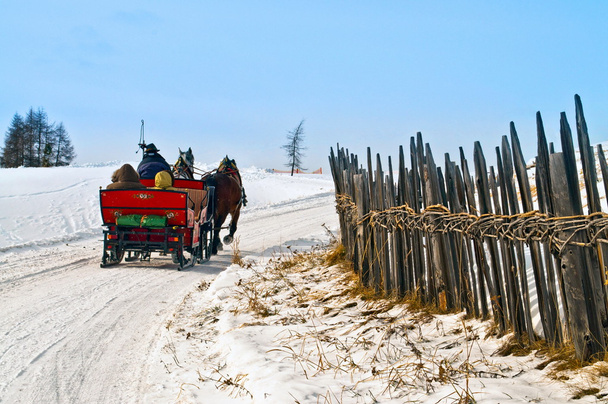 Luge de chevaux en action dans le paysage hivernal
 - Photo, image