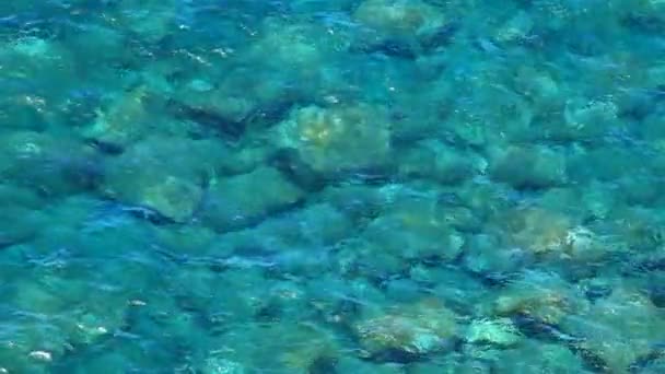 Skaliste wybrzeże i tropikalnych wodach - Materiał filmowy, wideo