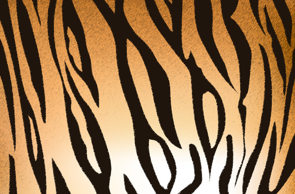 Bengáli tiger stripe pattern - Vektor, kép