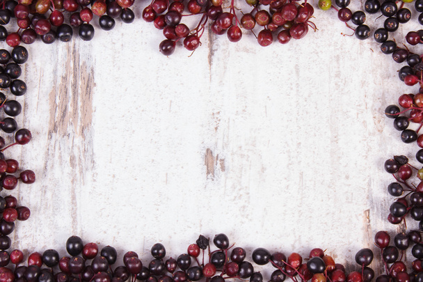 Frame of autumn fresh elderberry and copy space for text - Fotografie, Obrázek