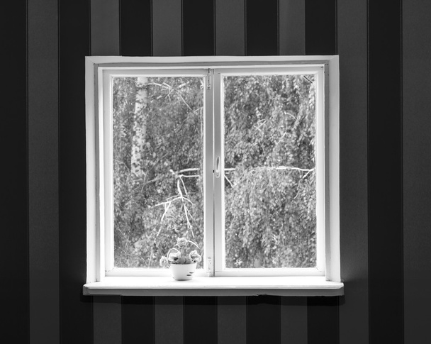 Staré bílé dřevěné okno v pruhované hnědé a žluté zdi černé a bílé - Fotografie, Obrázek