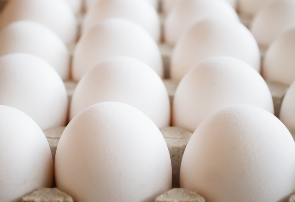 background  folded white closeup large eggs - Fotografie, Obrázek