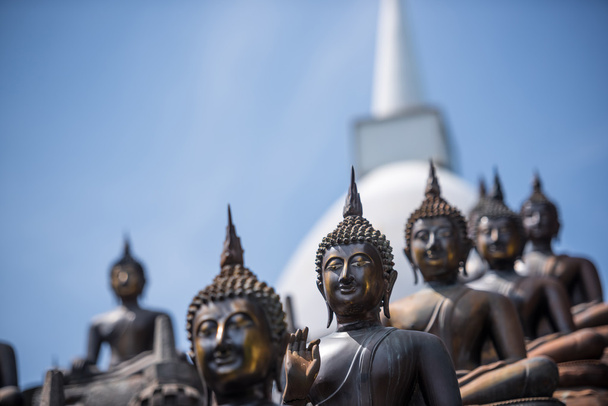 Statue di Buddha nel tempio
 - Foto, immagini
