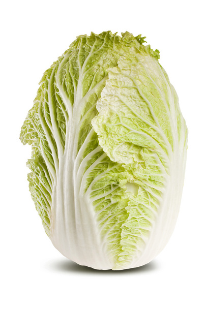 Chinese cabbage isolated on white. - Foto, Imagem