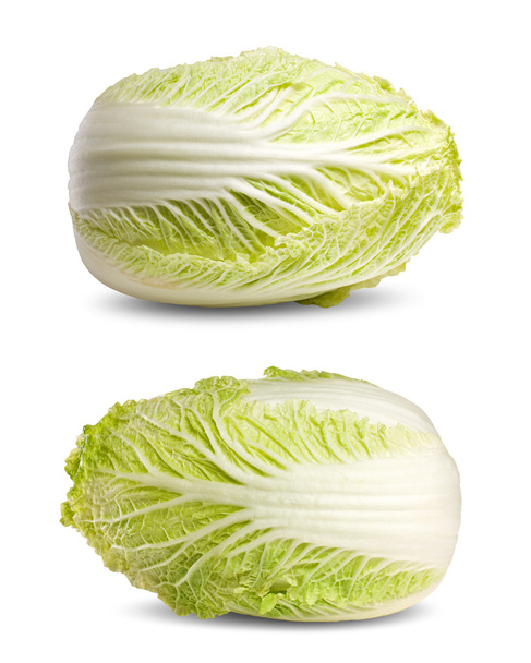 Chinese cabbage isolated on white. - Φωτογραφία, εικόνα