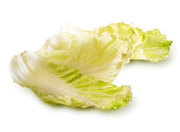 Salad leaf. - Foto, Imagen