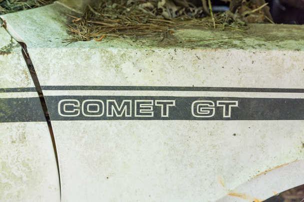 Старая комета GT с соснами на головах
 - Фото, изображение