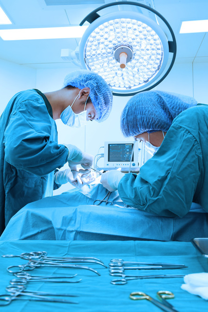 two veterinarian surgeons in operating room - Φωτογραφία, εικόνα