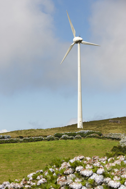 Parque eólico molino de viento en la isla de Sao Jorge. Azores. Portugal
 - Foto, Imagen