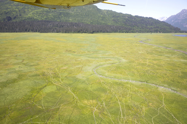 アラスカの荒野の空撮 - 写真・画像