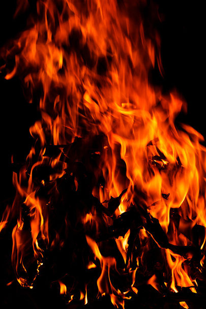 Fire flames background - Foto, immagini