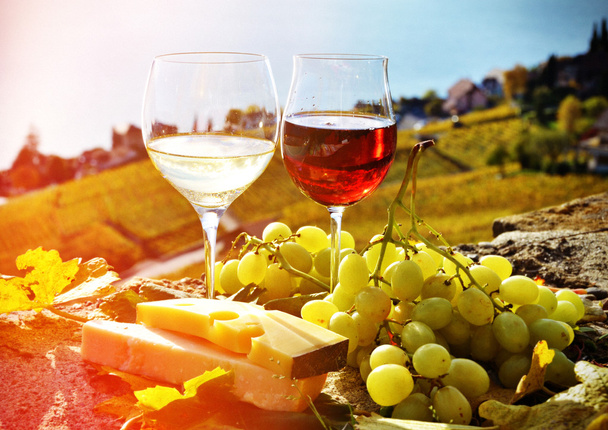 Şarap ve peynir Lavaux bölgesi - Fotoğraf, Görsel