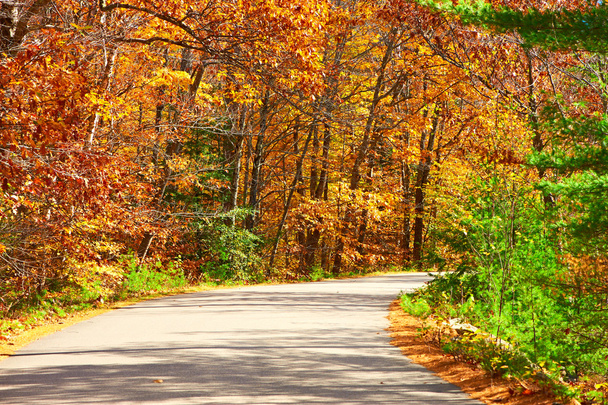 道路と秋のシーン - 写真・画像