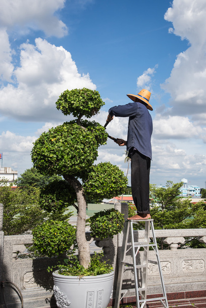 Люди работают с украшенными деревьями
. - Фото, изображение
