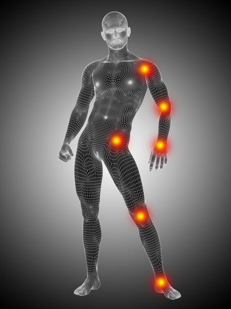 человеческое анатомическое тело
 - Фото, изображение