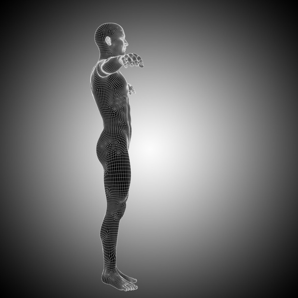 drátový model muž nebo člověk anatomie - Fotografie, Obrázek
