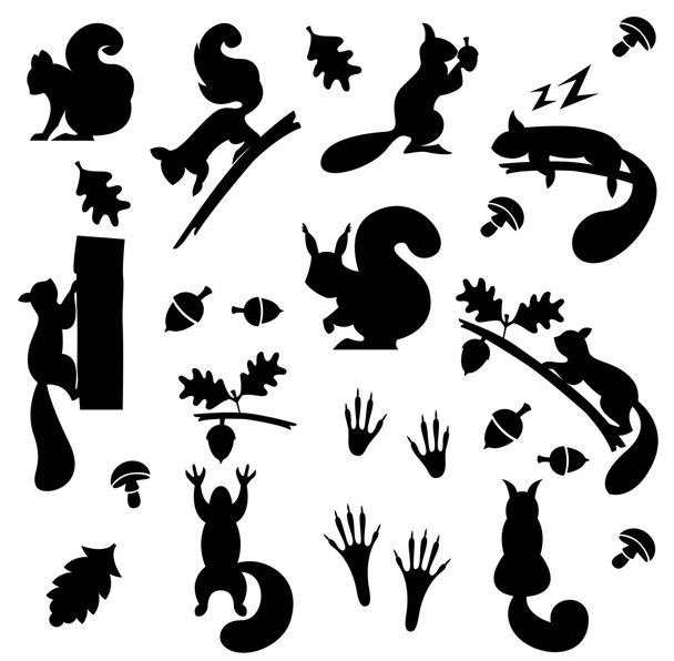 illustration avec écureuils isolés sur fond blanc
 - Vecteur, image