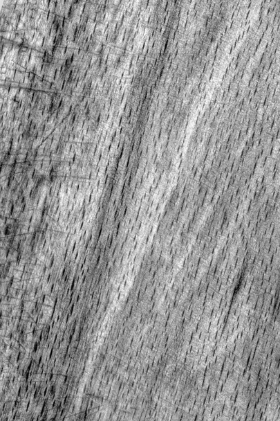 Vecchio legno di faggio sbiancato e tinto grigio scuro Grunge Texture Campione
 - Foto, immagini