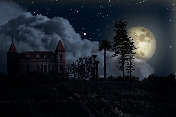 Old mysterious house in a full moon night - Photo, Image