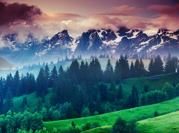 widok na alpejskie łąki. - Zdjęcie, obraz
