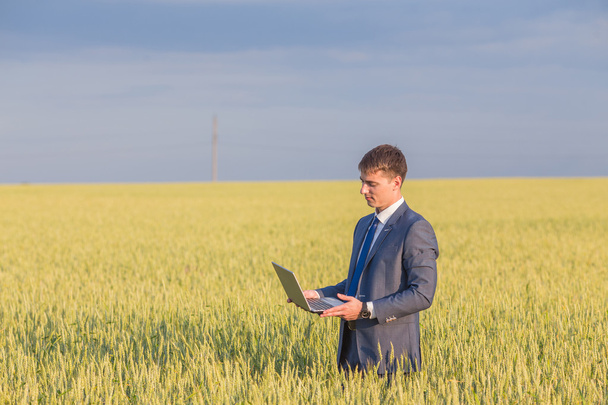Businessman on a wheat field - Photo, Image