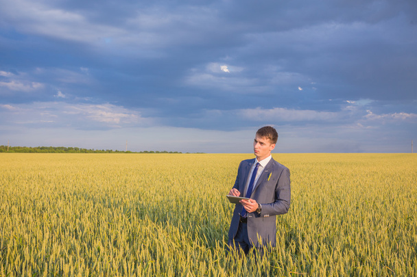 Geschäftsmann auf einem Weizenfeld - Foto, Bild