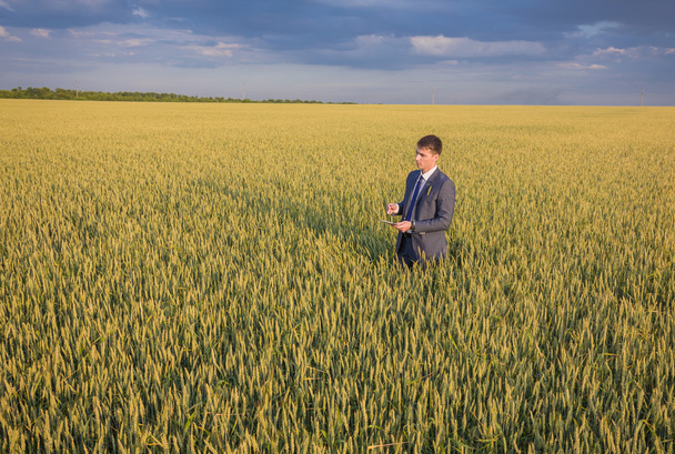 Businessman on a wheat field - Photo, Image