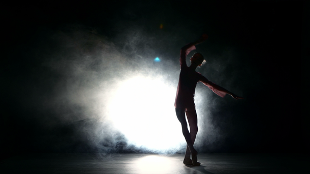 Bellet χορεύτρια χορεύοντας στο στούντιο - Πλάνα, βίντεο