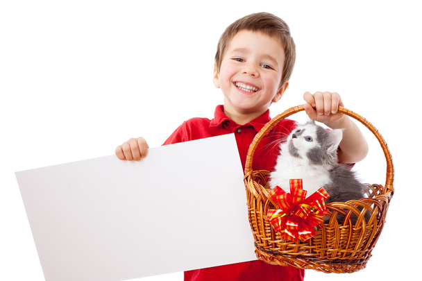 Little boy with kitty and banner - Foto, immagini