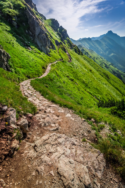Mountains trail in Tatras in Poland - Foto, afbeelding
