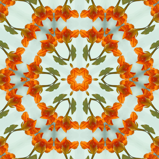 Πορτοκαλί και πράσινο Νεροκάρδαμο άνθος Καλειδοσκόπιο - Φωτογραφία, εικόνα