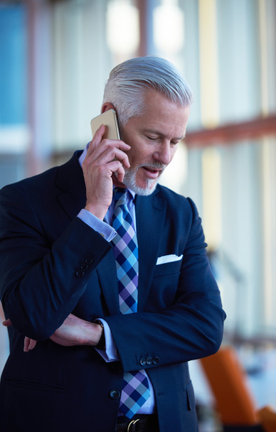 senior business man talk on mobile phone - Foto, afbeelding