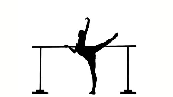 flexible Ballerina posing on ballet barre. silhouette. slow motion - Séquence, vidéo